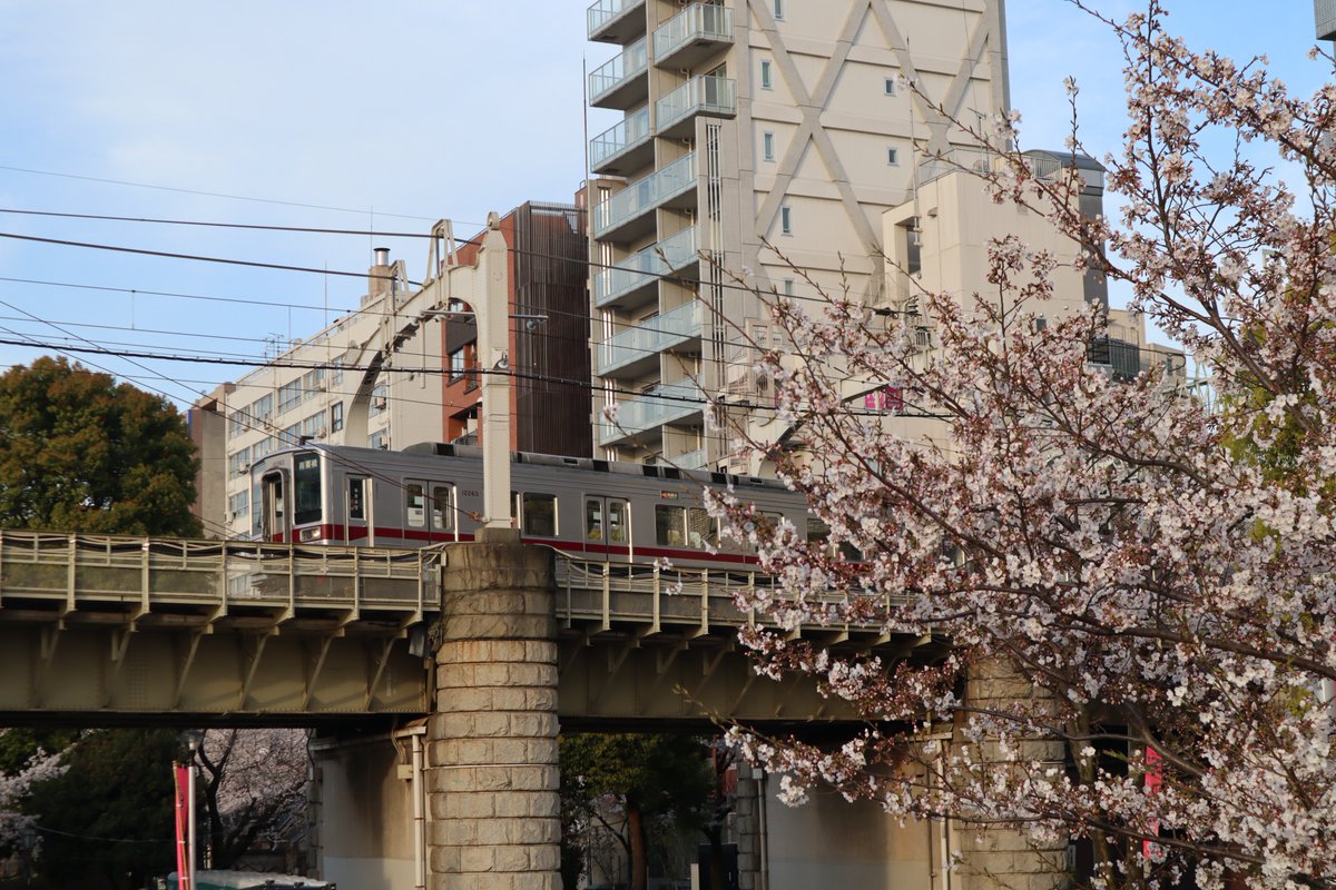 東武電車と桜-1
