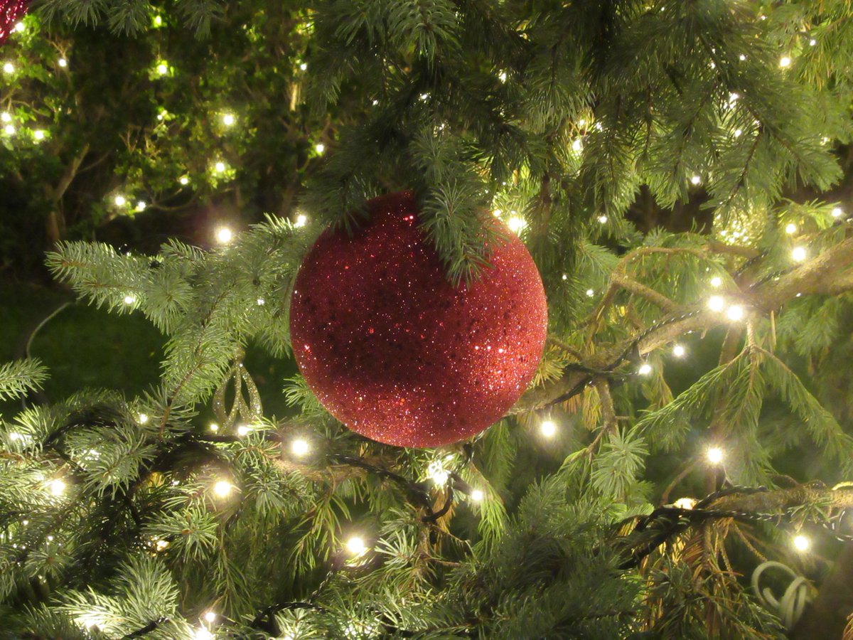 ミッドタウン・カーデンのクリスマスツリー3