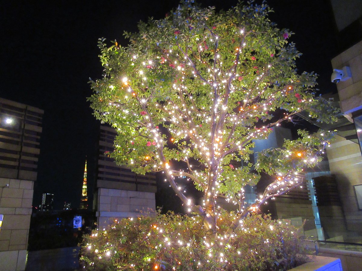 六本木ヒルズ・クリスマスツリー2